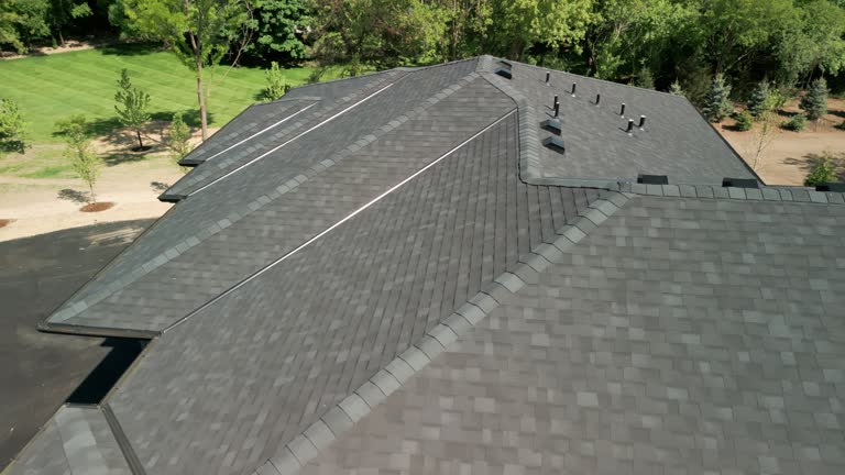 Best Asphalt Shingle Roofing  in Laware City, DE