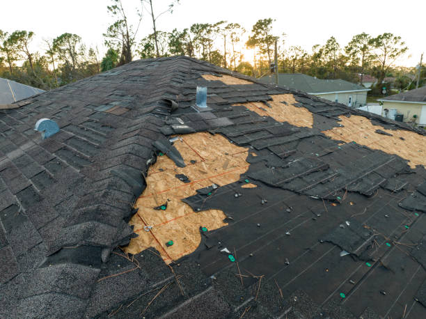 Professional Roofing Services in Delaware City, DE